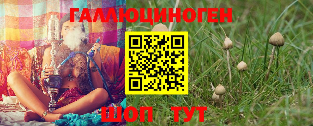 наркота  Псилоцибиновые грибы ЛСД  Ялта  Вход с VPN  Псилоцибиновые грибы MAGIC MUSHROOMS 