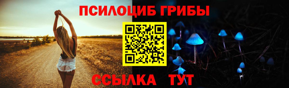Галлюциногенные грибы Cubensis Ялта